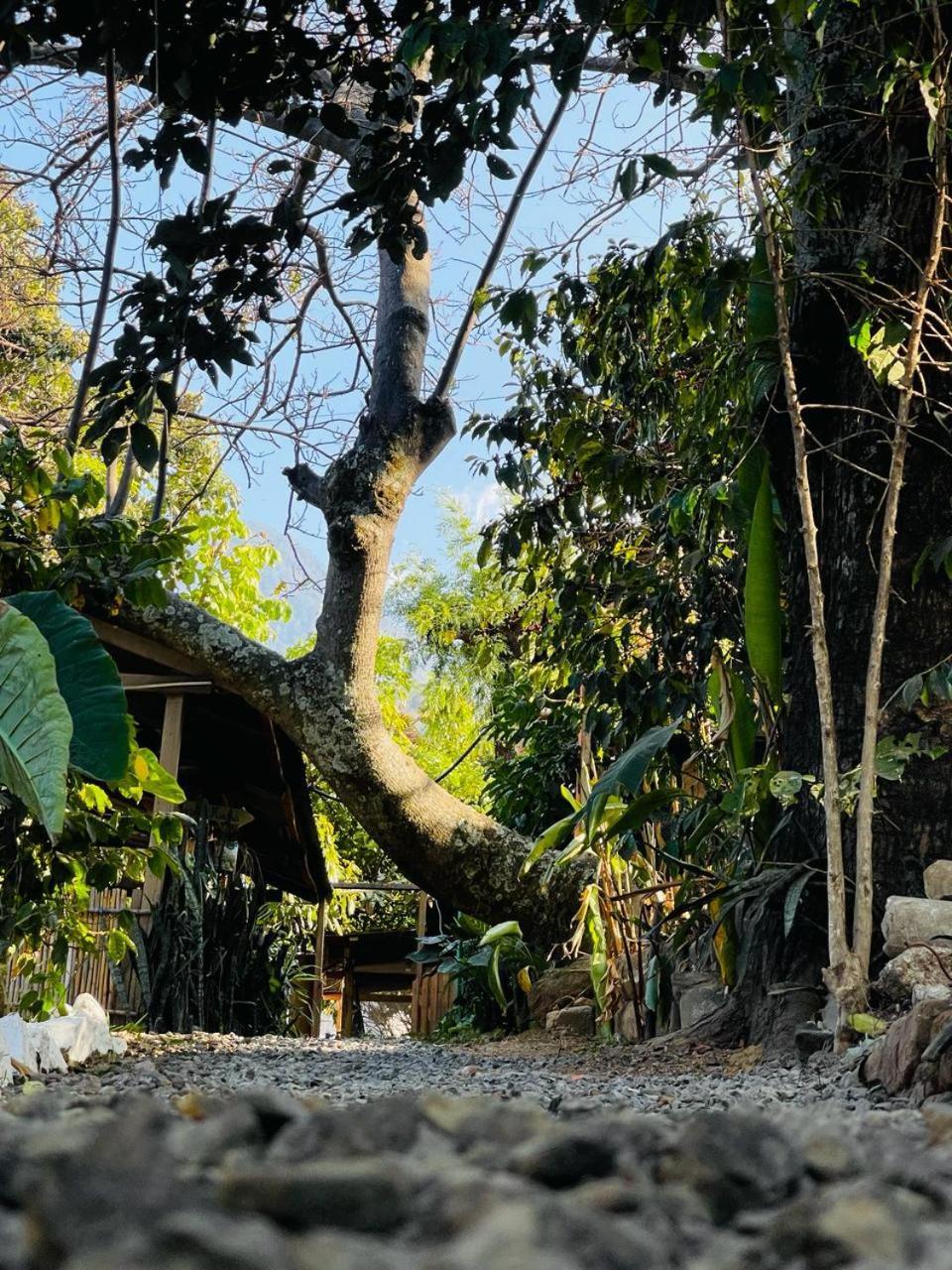 Posada Mana San Juan La Laguna Esterno foto